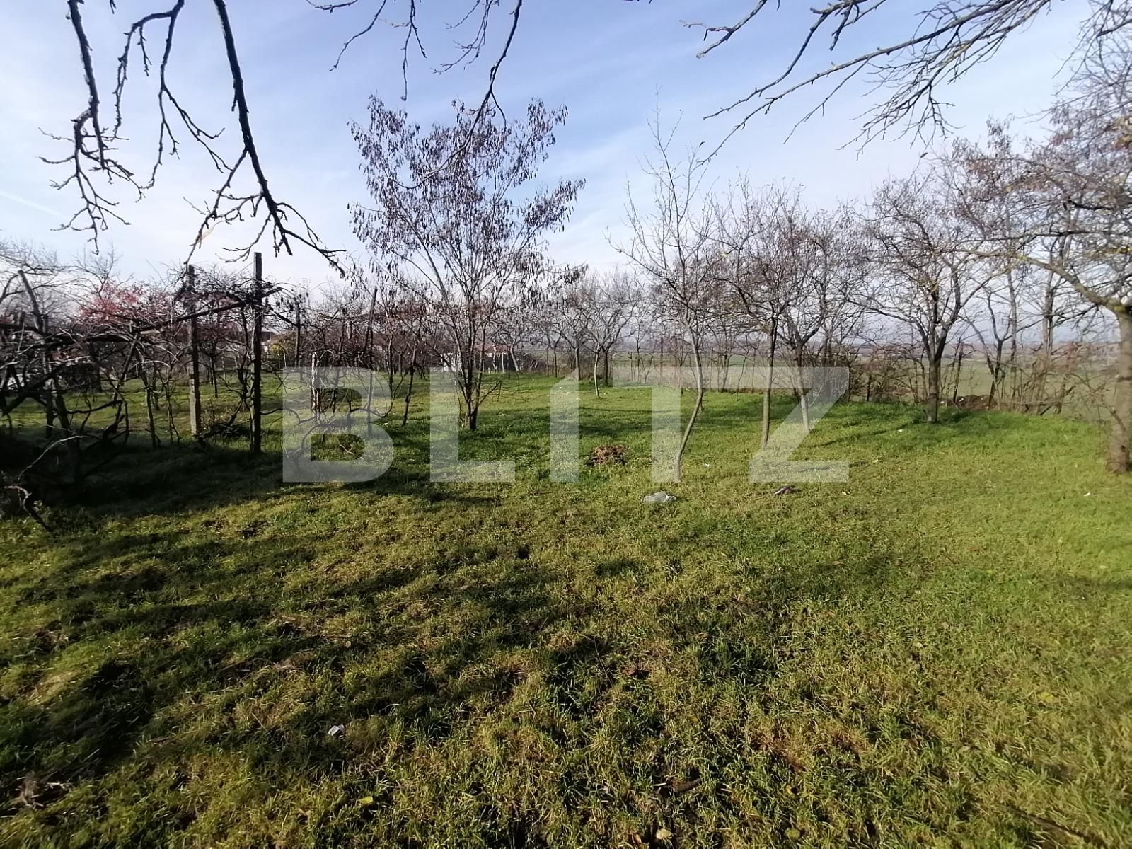 Casa de vânzare 3 camere Exterior Sud - 103854CV | BLITZ Arad | Poza7