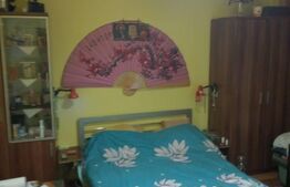 Garsoniera, 37 mp, parter, 6 Vanatori