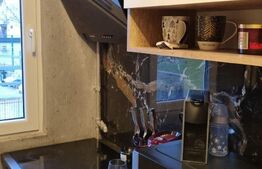 Apartament cu 2 camere, 48 mp, mobilata/utilata, Aurel Vlaicu