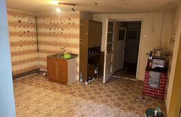 Casa cu 3 camere, 110 mp utili, teren cu 320 mp, Aurel Vlaicu