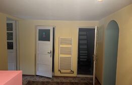 Casa cu 3 camere, 110 mp utili, teren cu 320 mp, Aurel Vlaicu