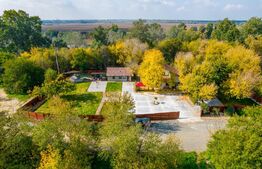 Domeniu de vis in Arad la malul parcului Natural Lunca Muresului, 2400 mp teren