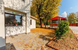 Domeniu de vis in Arad la malul parcului Natural Lunca Muresului, 2400 mp teren