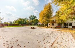 Domeniu de vis in Arad la malul parcului Natural Lunca Muresului, 2400 mp teren