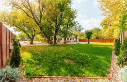 Domeniu de vis in Arad la malul parcului Natural Lunca Muresului, 2400 mp teren