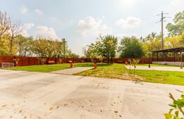 Domeniu de vis in Arad la malul parcului Natural Lunca Muresului, 2400 mp teren