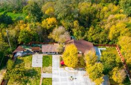 Domeniu de vis in Arad la malul parcului Natural Lunca Muresului, 2400 mp teren