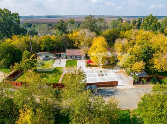 Casa de vânzare 10 camere 3 Insule - 104909CV | BLITZ Arad | Poza4