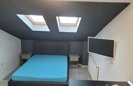 Garsoniera, 20 mp, mansarda, UTA