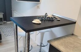 Garsoniera, 20 mp, mansarda, UTA