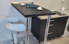 Garsoniera, 20 mp, mansarda, UTA