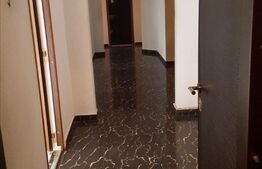 Apartament 4 camere, Miorita