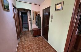 Apartament cu 3 camere, 102 mp, decomandat, Miron Costin