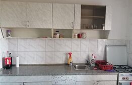 Apartament cu 2 camere, 70 mp, Malul Muresului