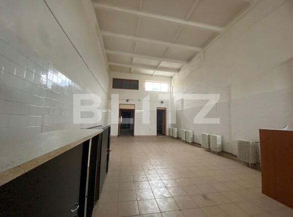 Spațiu industrial de închiriat 6 Vanatori - 105961SII | BLITZ Arad | Poza7