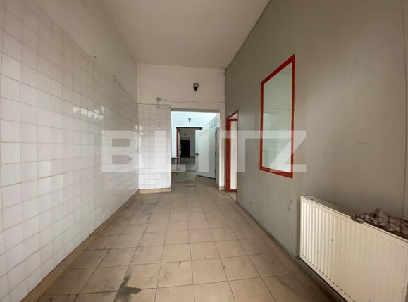 Spațiu industrial de închiriat 6 Vanatori - 105961SII | BLITZ Arad | Poza2