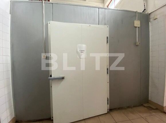 Spațiu industrial de închiriat 6 Vanatori - 105961SII | BLITZ Arad | Poza5