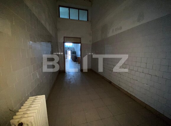 Spațiu industrial de închiriat 6 Vanatori - 105961SII | BLITZ Arad | Poza10