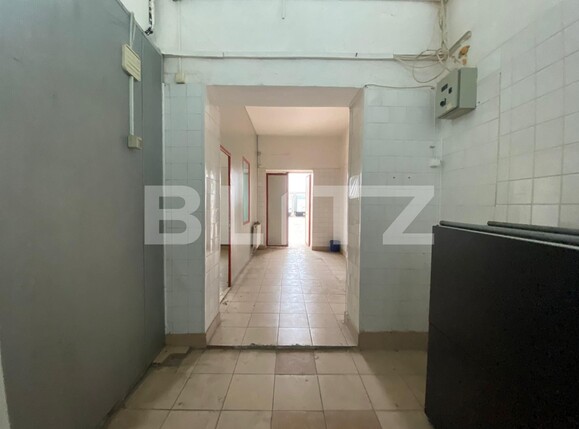 Spațiu industrial de închiriat 6 Vanatori - 105961SII | BLITZ Arad | Poza4