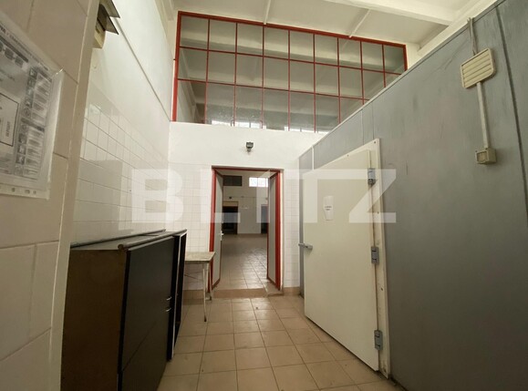 Spațiu industrial de închiriat 6 Vanatori - 105961SII | BLITZ Arad | Poza1