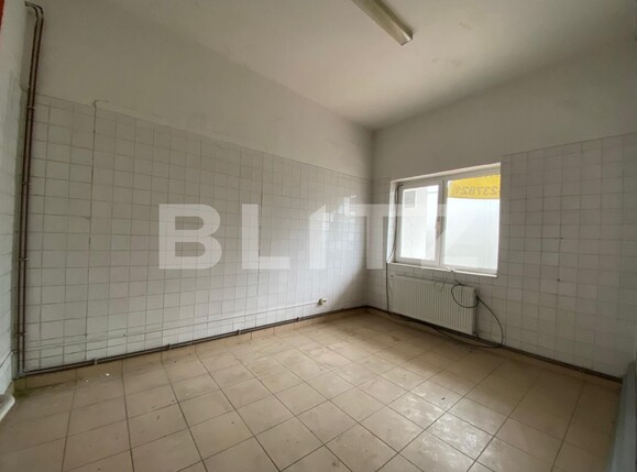 Spațiu industrial de închiriat 6 Vanatori - 105961SII | BLITZ Arad | Poza6