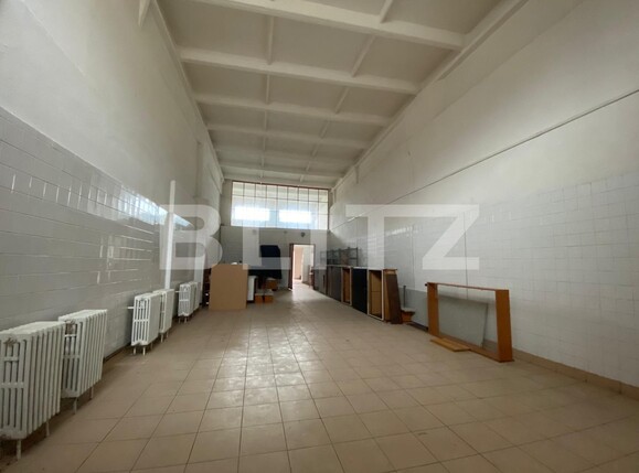 Spațiu industrial de închiriat 6 Vanatori - 105961SII | BLITZ Arad | Poza3