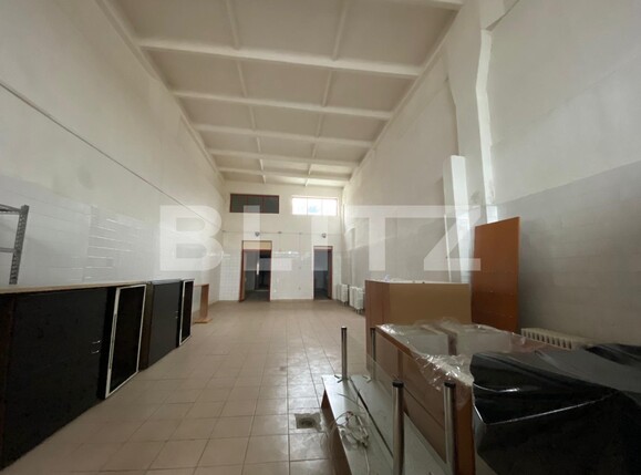 Spațiu industrial de închiriat 6 Vanatori - 105961SII | BLITZ Arad | Poza8