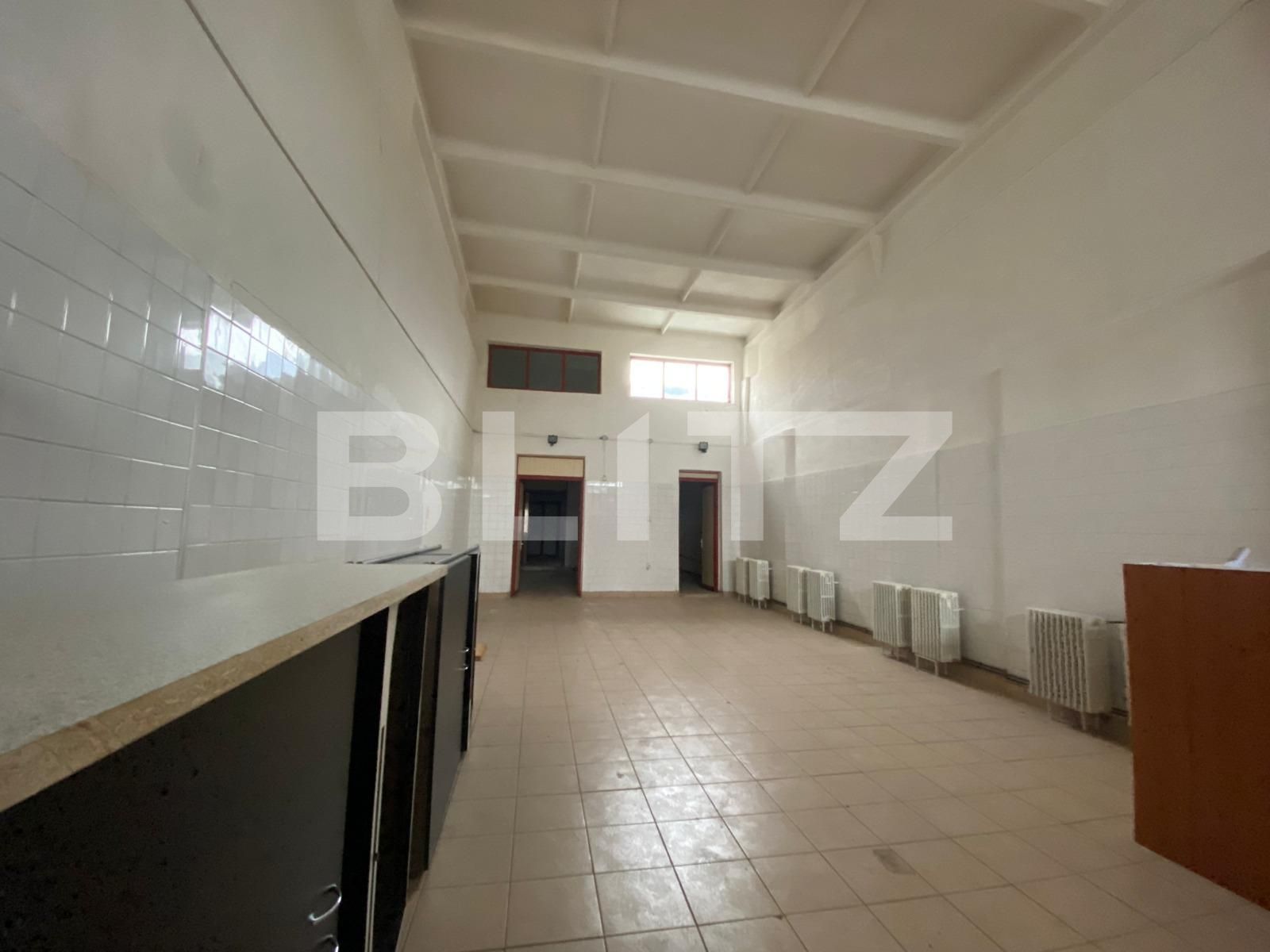 Spațiu industrial de închiriat 6 Vanatori - 105961SII | BLITZ Arad | Poza7