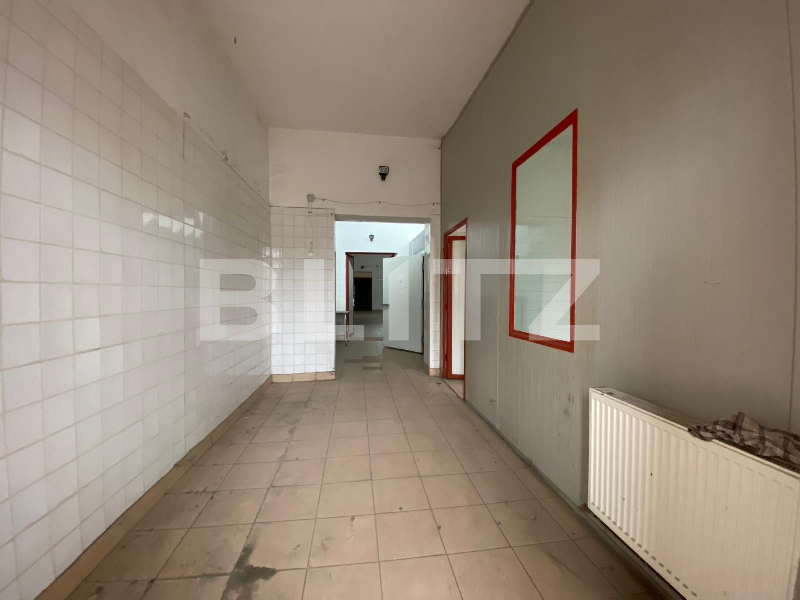 Spațiu industrial de închiriat 6 Vanatori - 105961SII | BLITZ Arad | Poza2