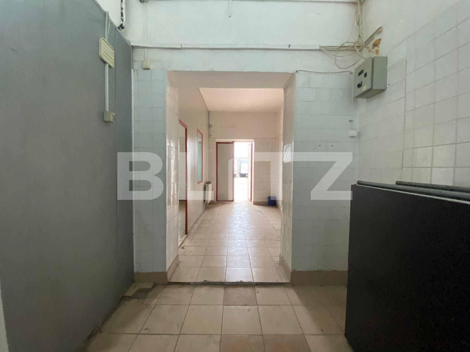 Spațiu industrial de închiriat 6 Vanatori - 105961SII | BLITZ Arad | Poza4
