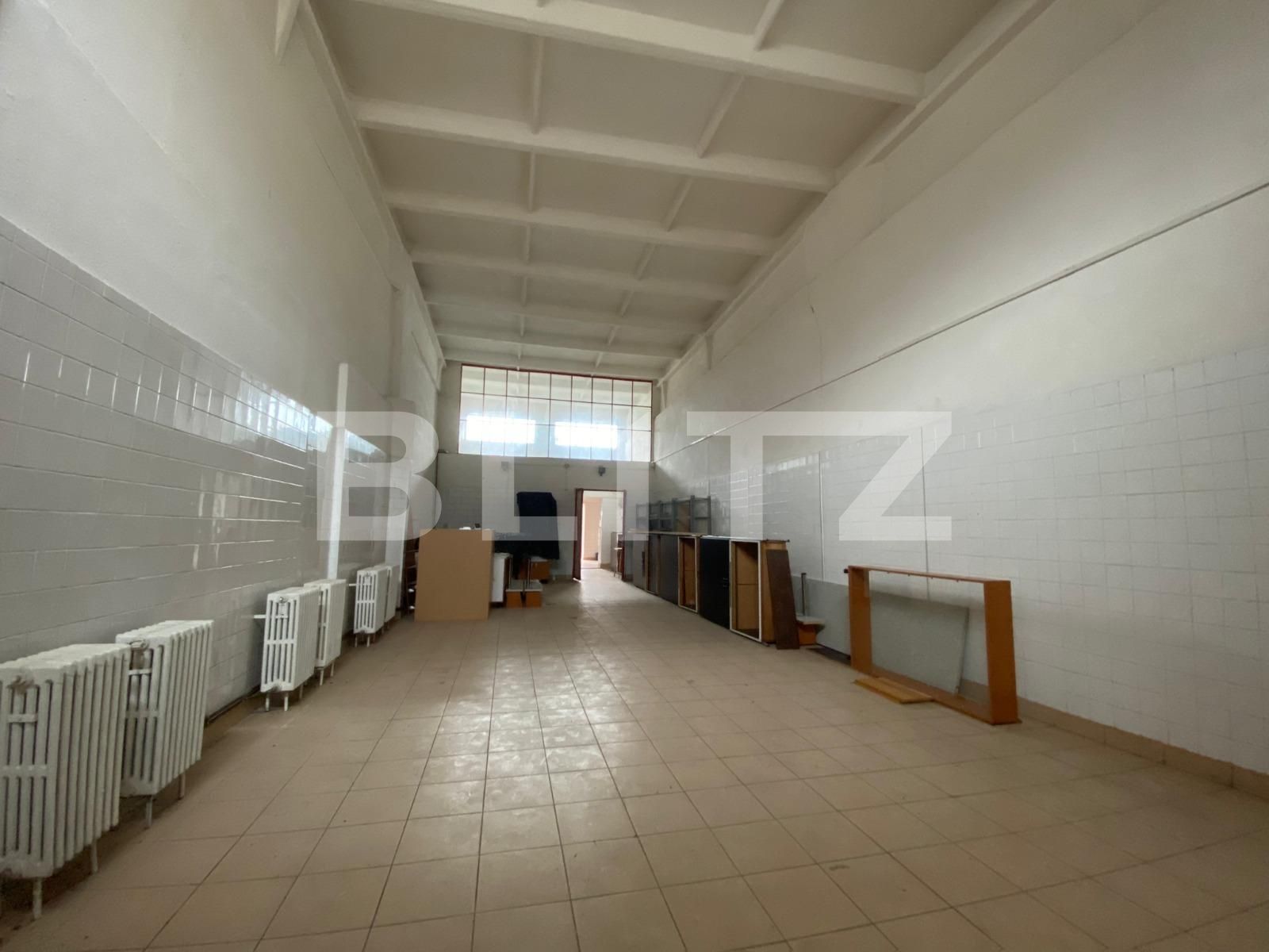 Spațiu industrial de închiriat 6 Vanatori - 105961SII | BLITZ Arad | Poza3