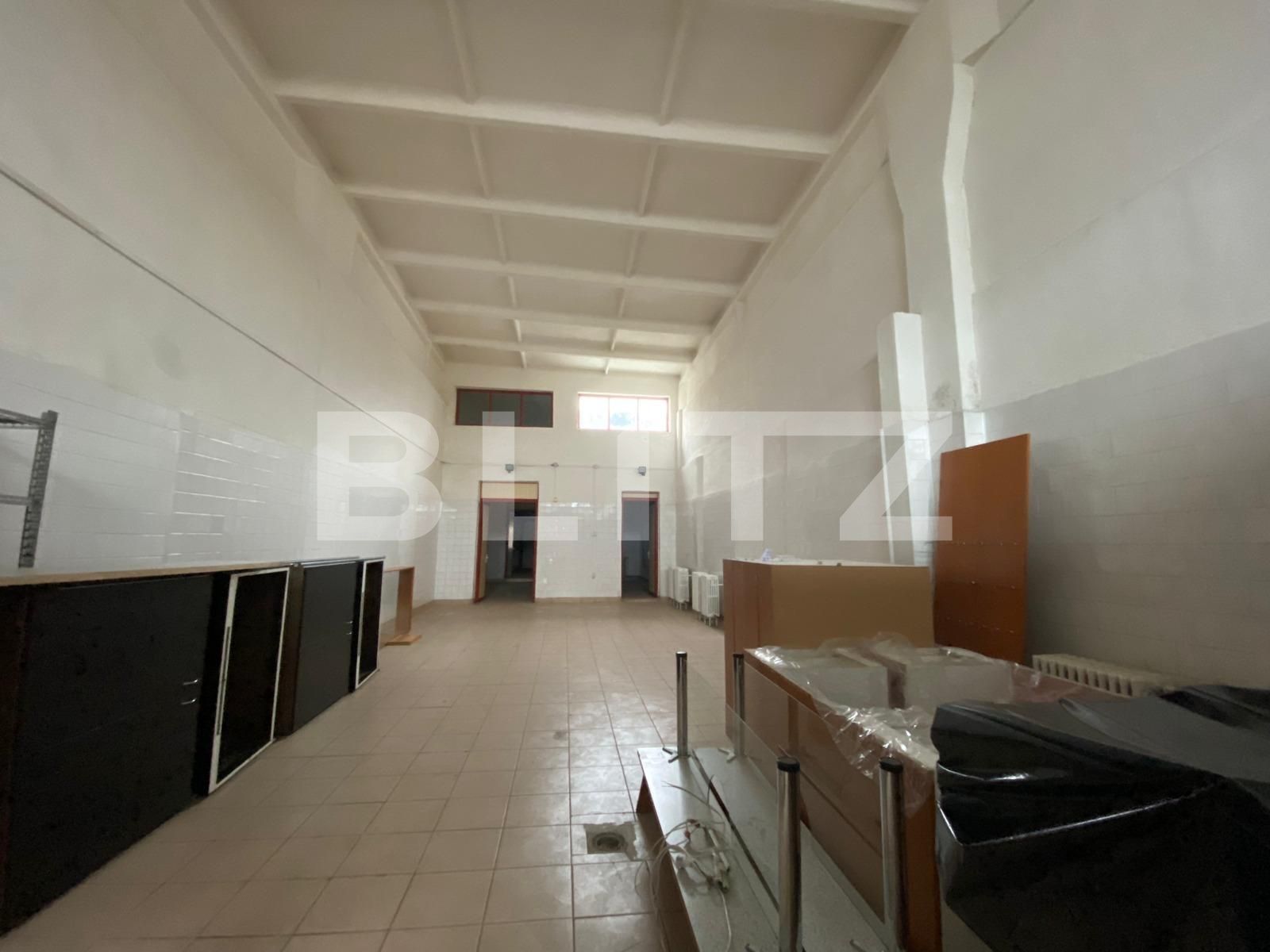 Spațiu industrial de închiriat 6 Vanatori - 105961SII | BLITZ Arad | Poza8