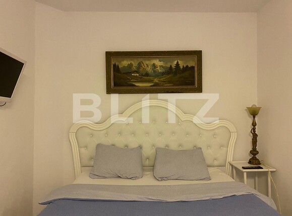 Casa de închiriat 2 camere Ultracentral - 106169CI | BLITZ Arad | Poza2