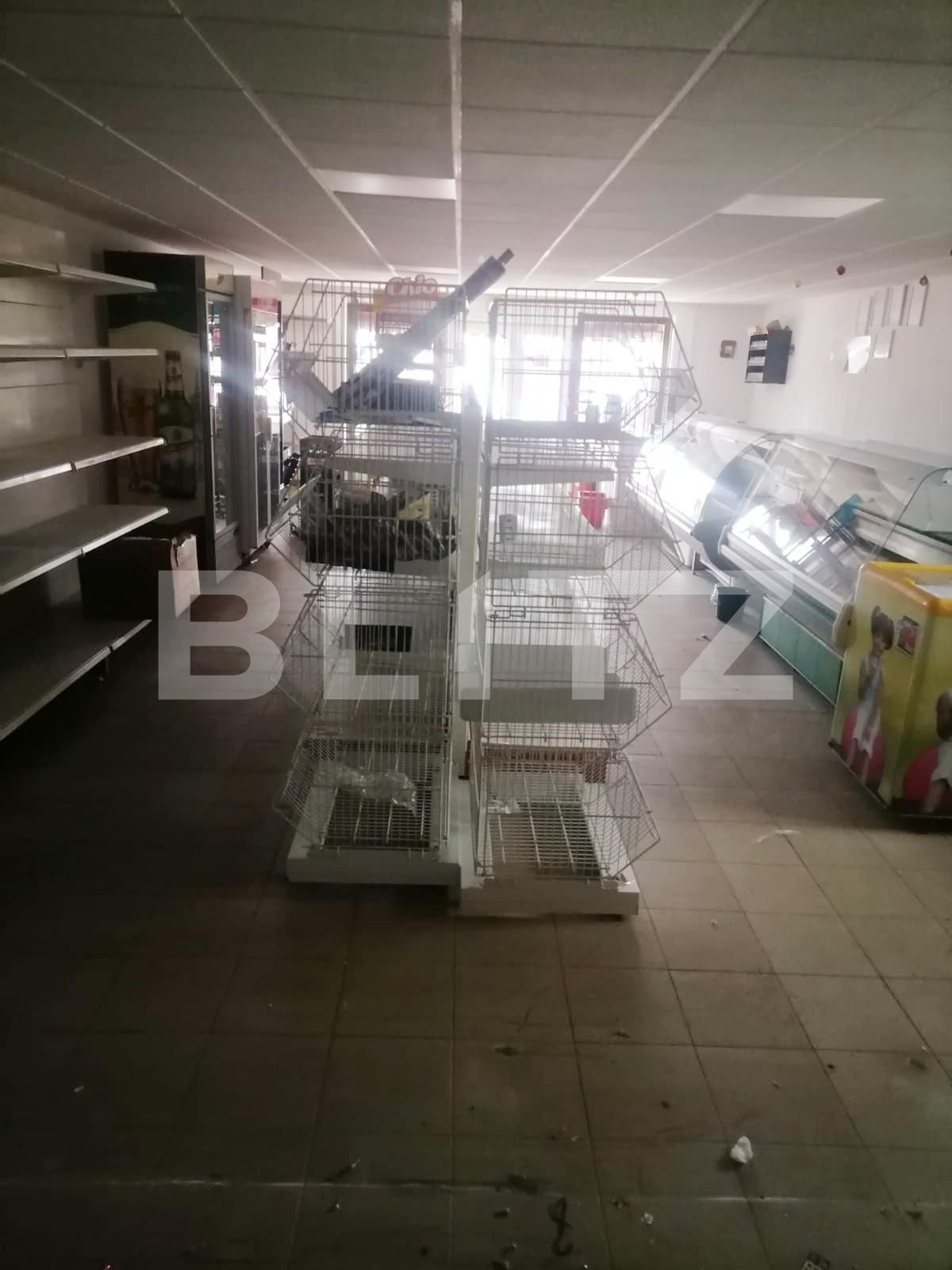 Spațiu comercial de vânzare Exterior Vest - 106464SVC | BLITZ Arad | Poza3