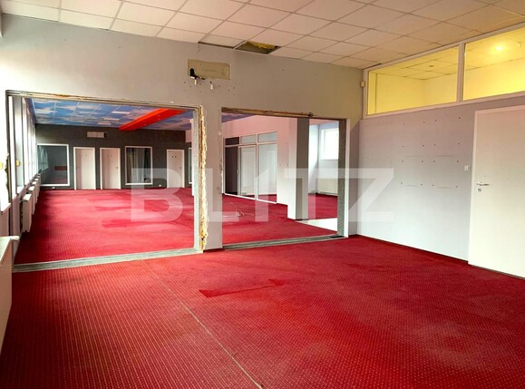 Spațiu birouri de închiriat UTA - 106800SIB | BLITZ Arad | Poza4