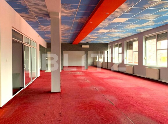 Spațiu birouri de închiriat UTA - 106800SIB | BLITZ Arad | Poza3
