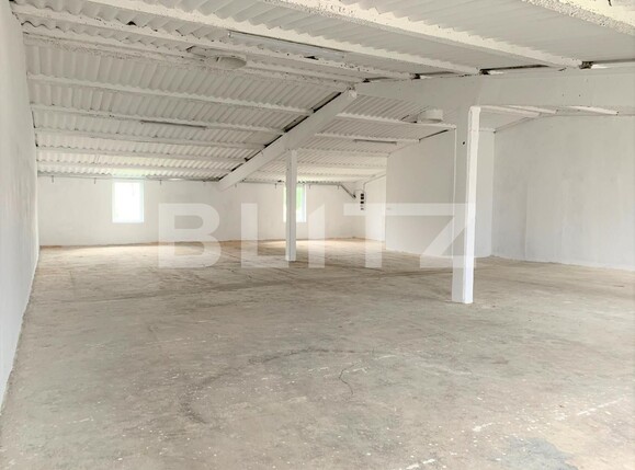 Spațiu industrial de închiriat Nord-Vest - 107442SII | BLITZ Arad | Poza4