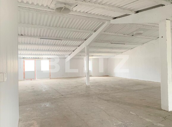 Spațiu industrial de închiriat Nord-Vest - 107442SII | BLITZ Arad | Poza1