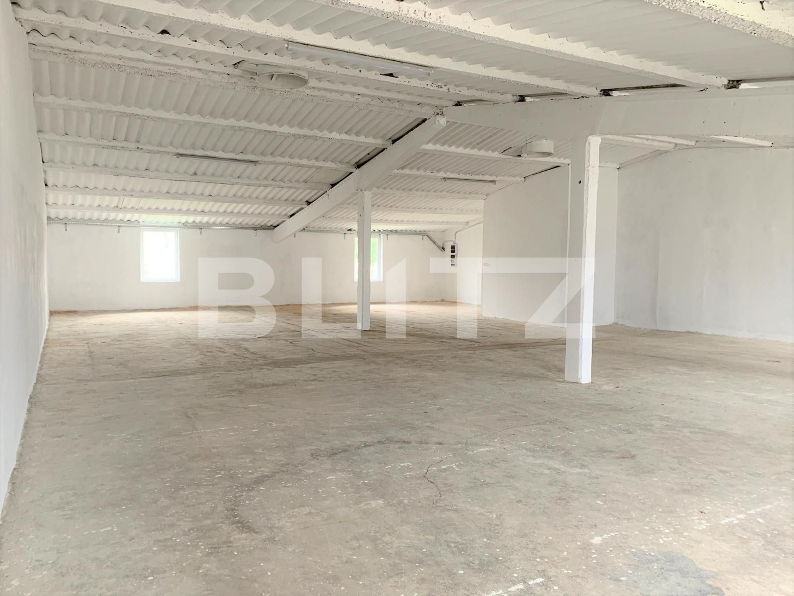 Spațiu industrial de închiriat Nord-Vest - 107442SII | BLITZ Arad | Poza4