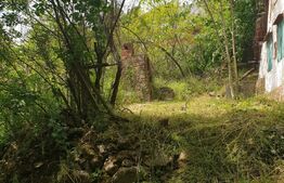 Teren intravilan 2289 mp, langa Manastire, Radna, Lipova, Arad