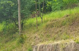 Teren intravilan 2289 mp, langa Manastire, Radna, Lipova, Arad