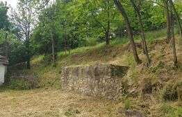 Teren intravilan 2289 mp, langa Manastire, Radna, Lipova, Arad