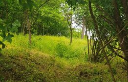 Teren intravilan 2289 mp, langa Manastire, Radna, Lipova, Arad