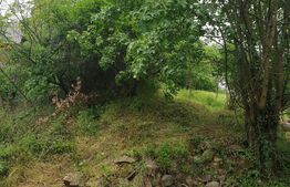 Teren intravilan 2289 mp, langa Manastire, Radna, Lipova, Arad