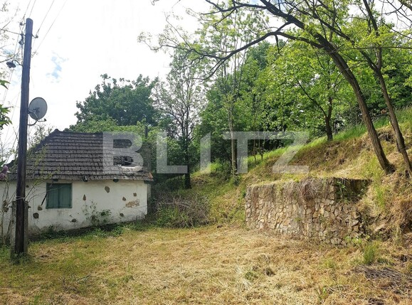 Teren de vânzare Exterior Est - 108730TV | BLITZ Arad | Poza3