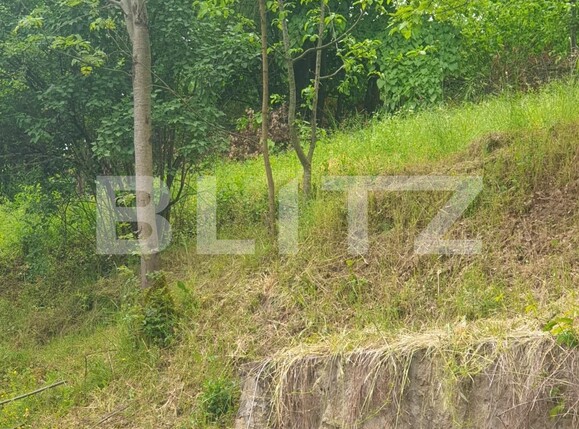 Teren de vânzare Exterior Est - 108730TV | BLITZ Arad | Poza5