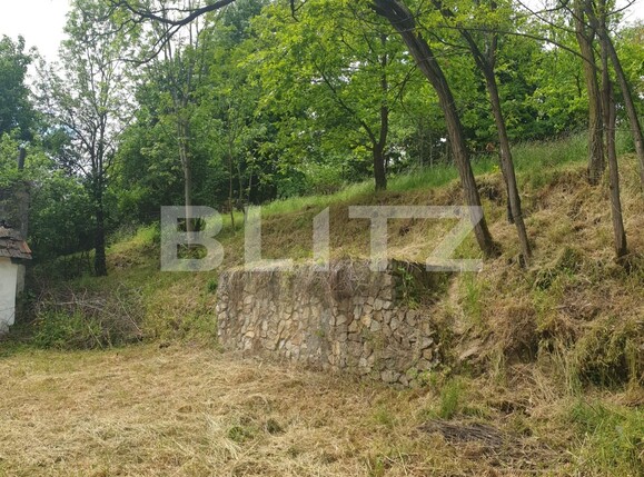 Teren de vânzare Exterior Est - 108730TV | BLITZ Arad | Poza9