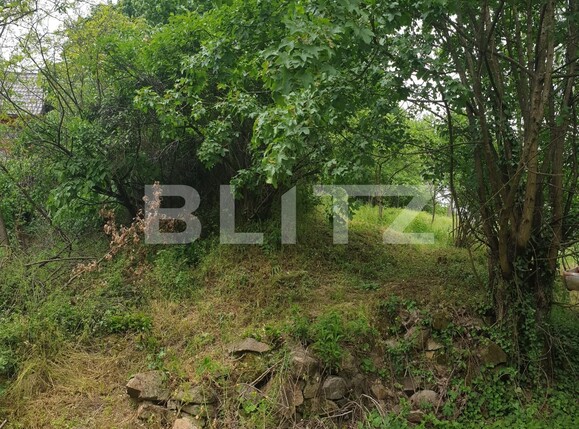 Teren de vânzare Exterior Est - 108730TV | BLITZ Arad | Poza8
