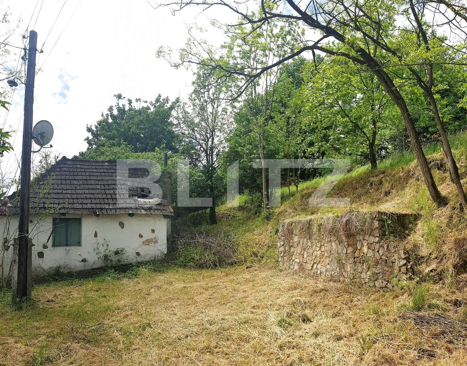 Teren de vânzare Exterior Est - 108730TV | BLITZ Arad | Poza3