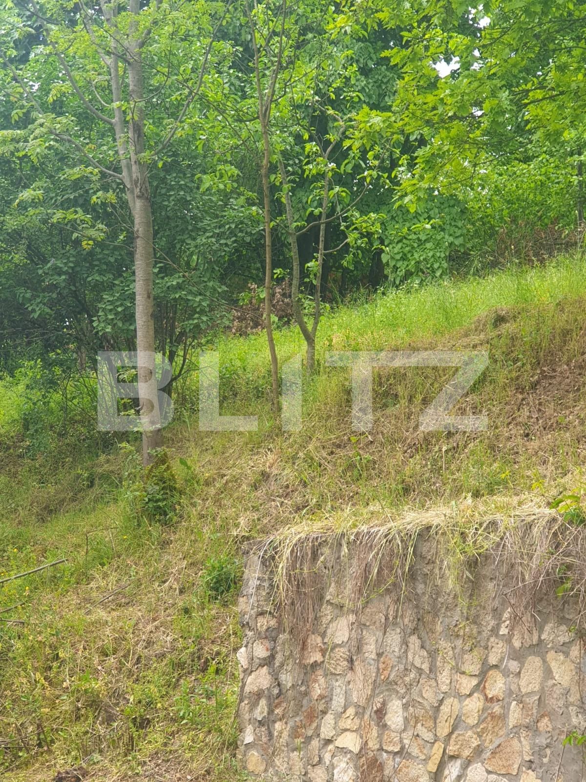 Teren de vânzare Exterior Est - 108730TV | BLITZ Arad | Poza5